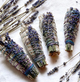 Sacred Cleansing & Manifesting Bundles